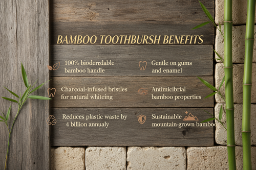 Bamboo toothbrush benefits infographic